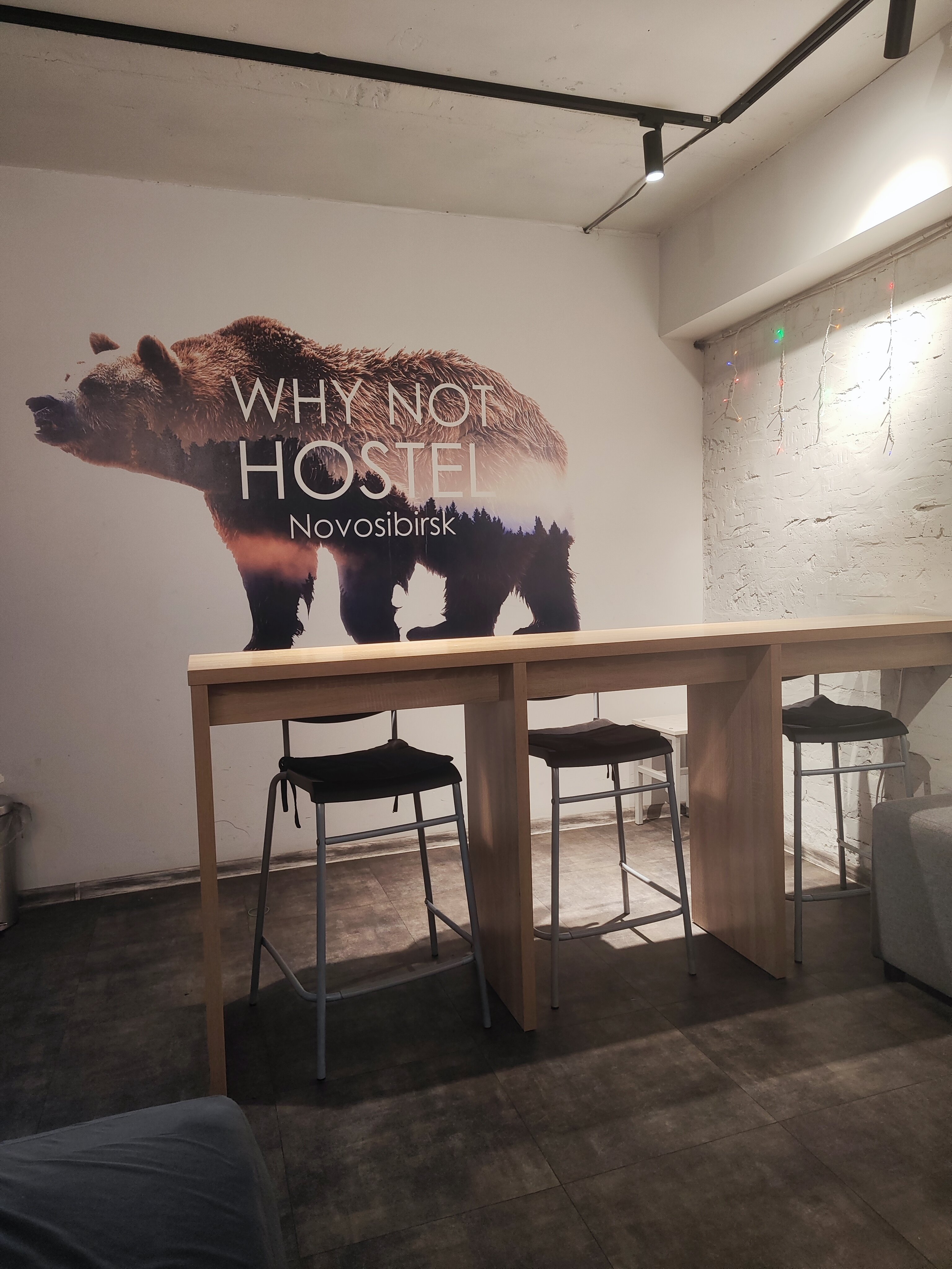 Фото Why not Hostel Novosibirsk
