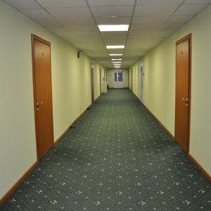 Фото  Малахит