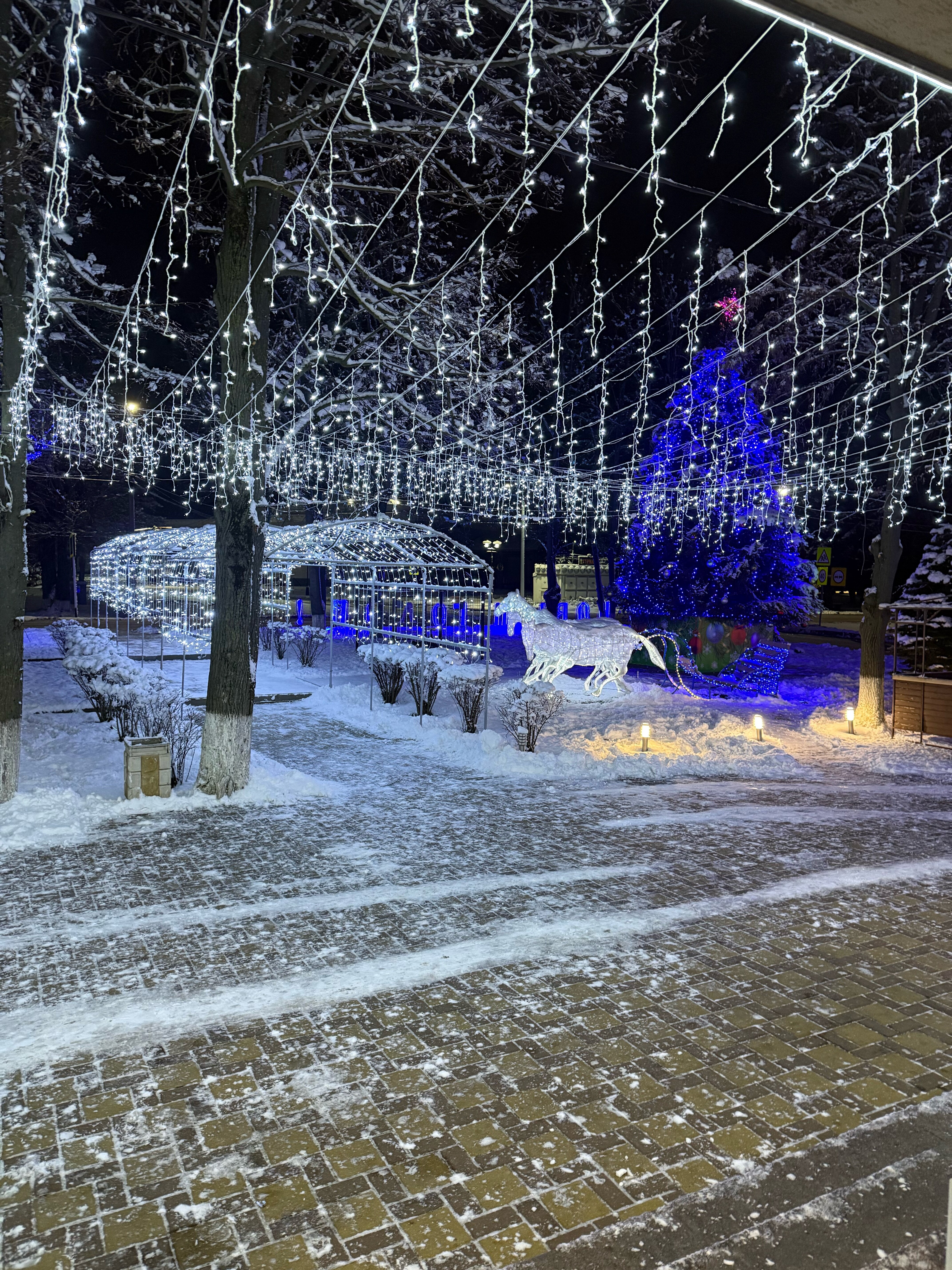 Фото Парк Отель