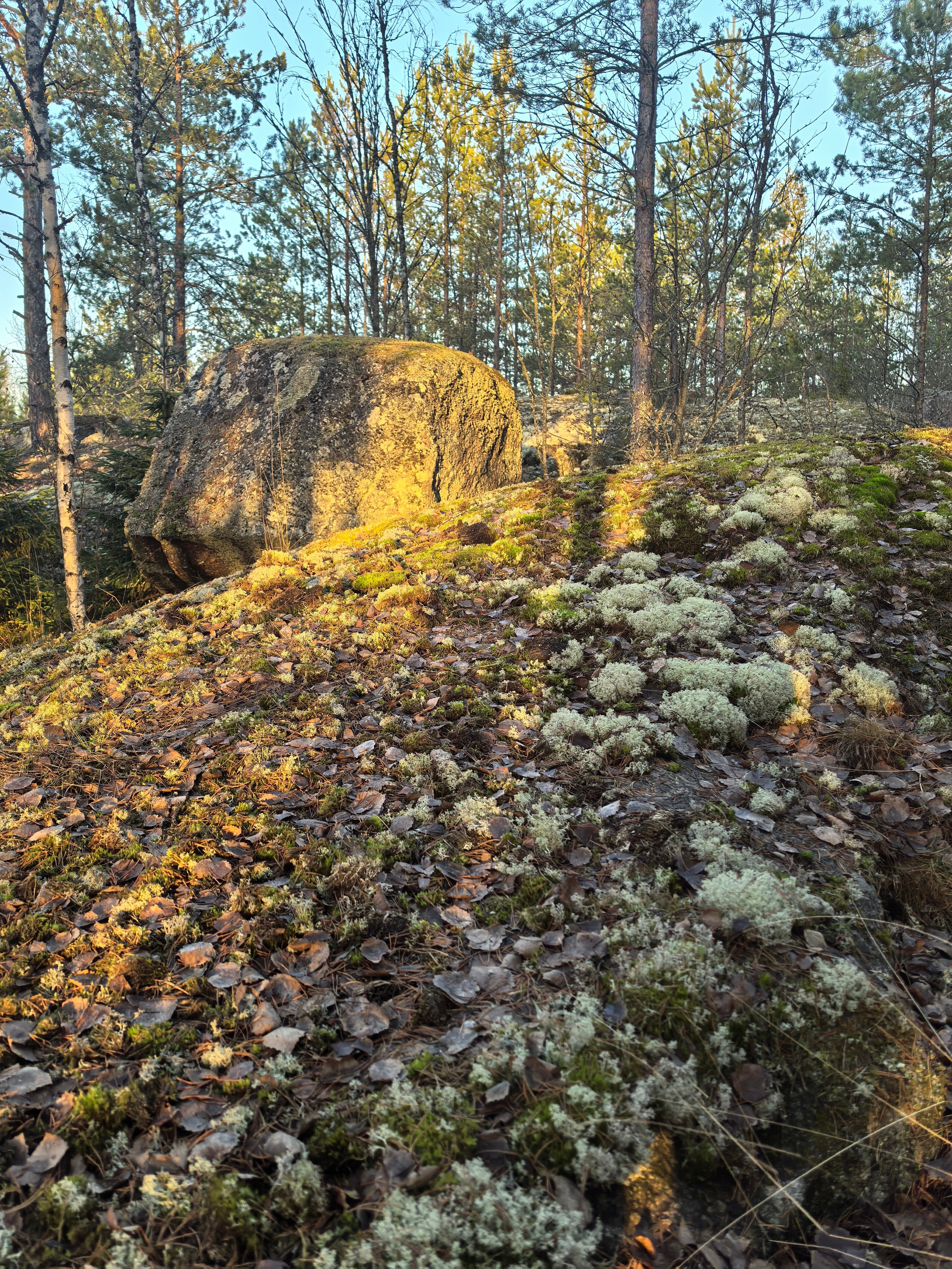 Фото Здесь живут камни