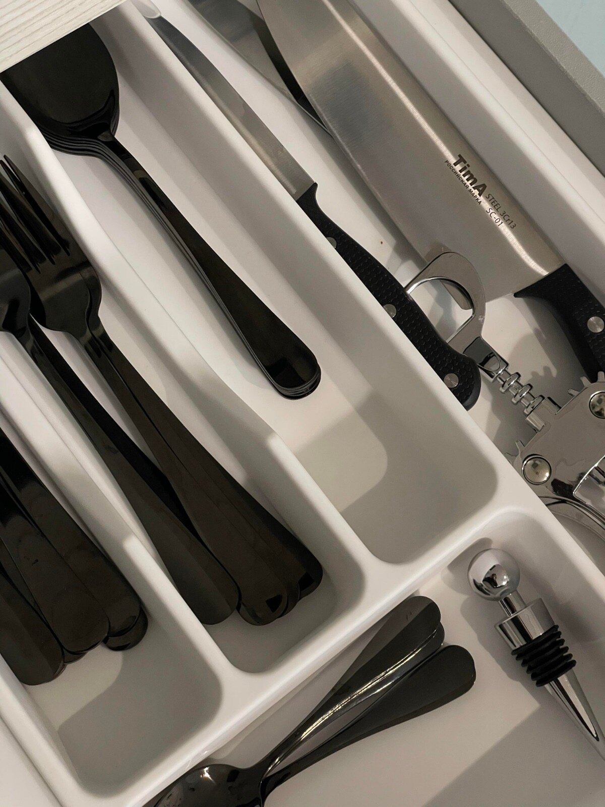 Фото Дикий гусь