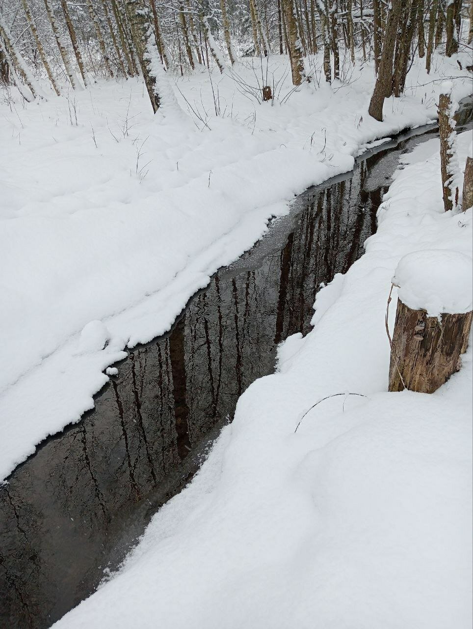 Фото Юккола