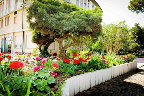 Внешний вид отеля Hotel Cristallo в Риоло-Терме, фото 2
