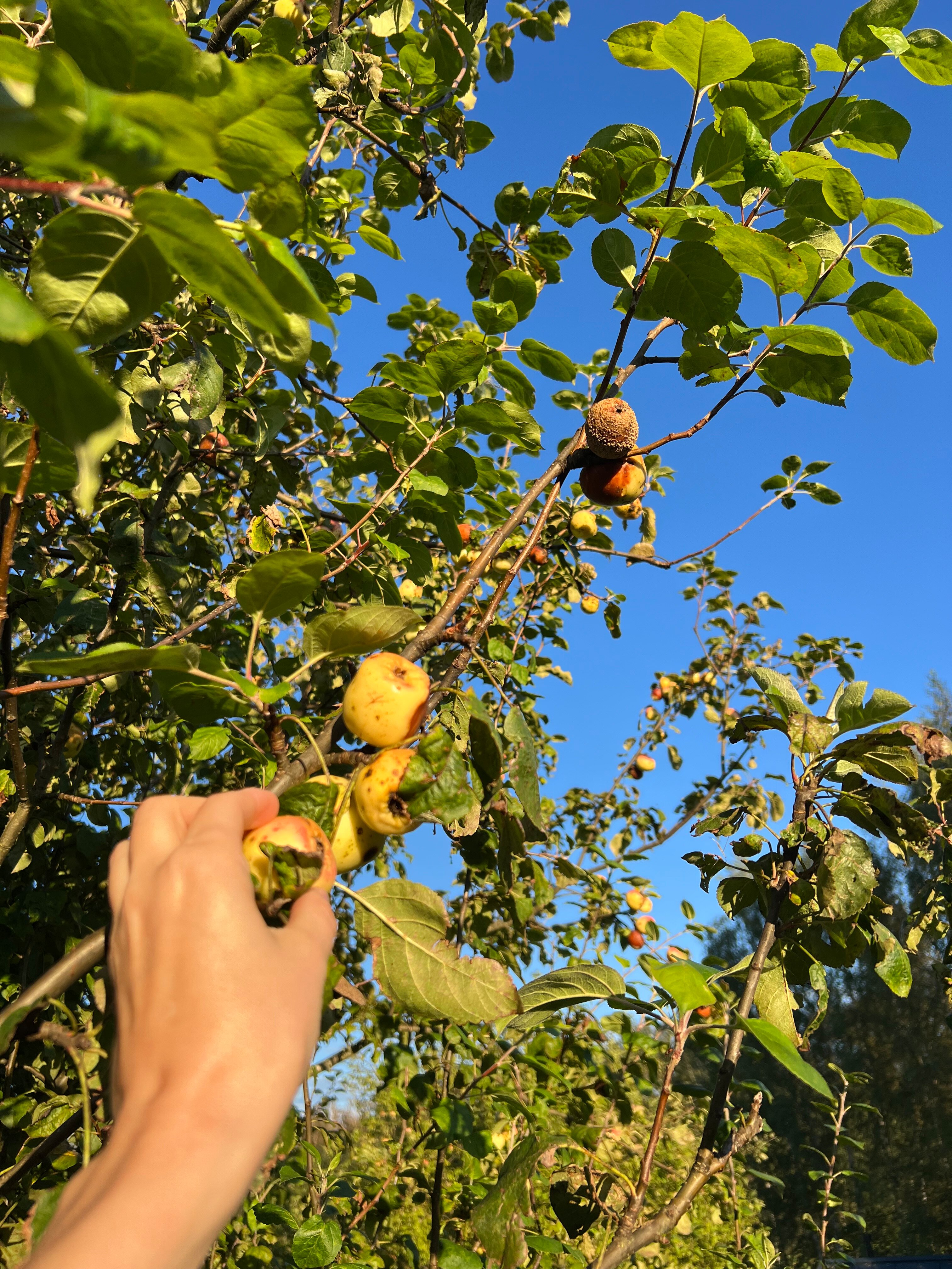 Фото Шаргора