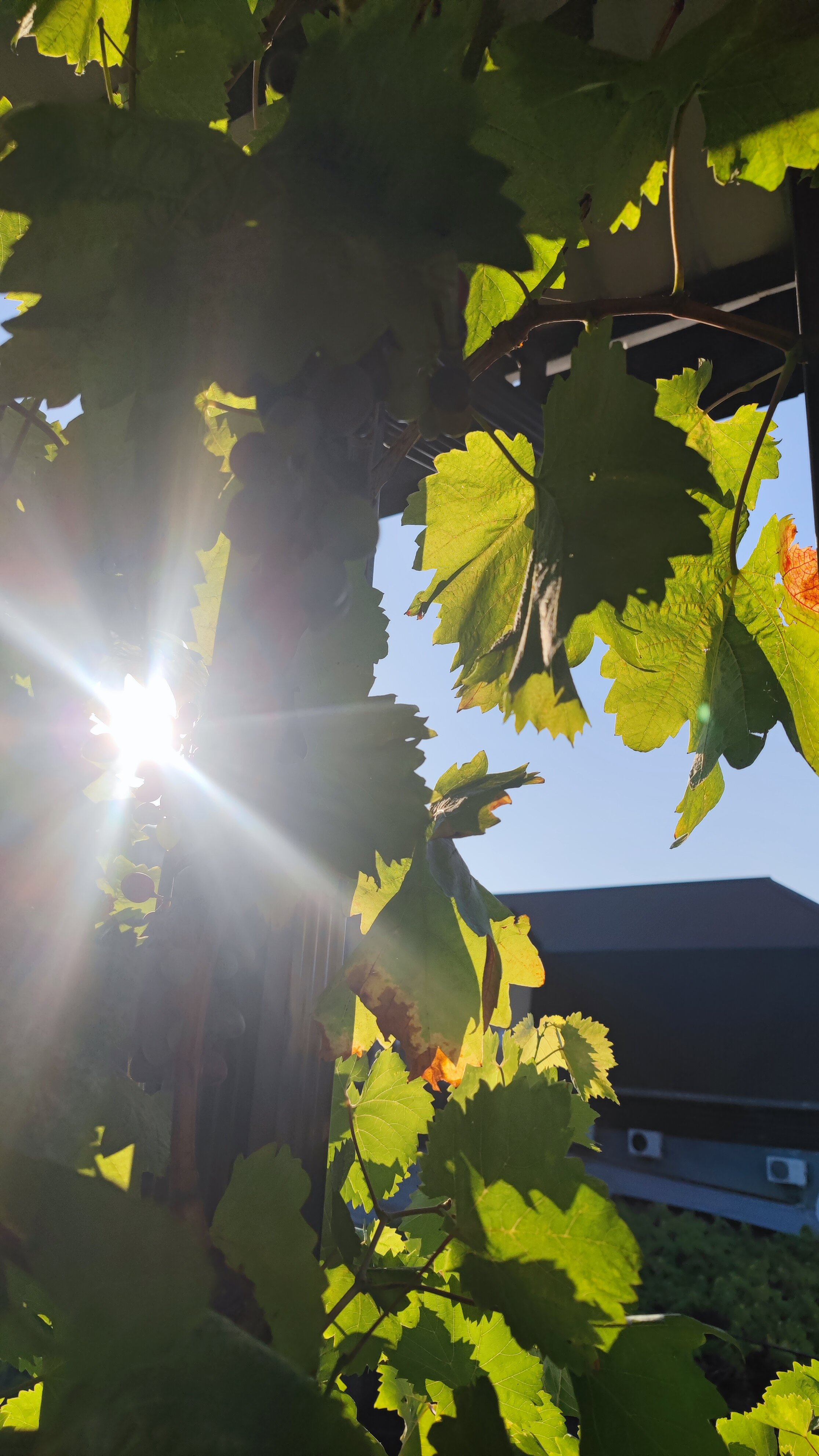 Фото Гостевой дом у Руслана