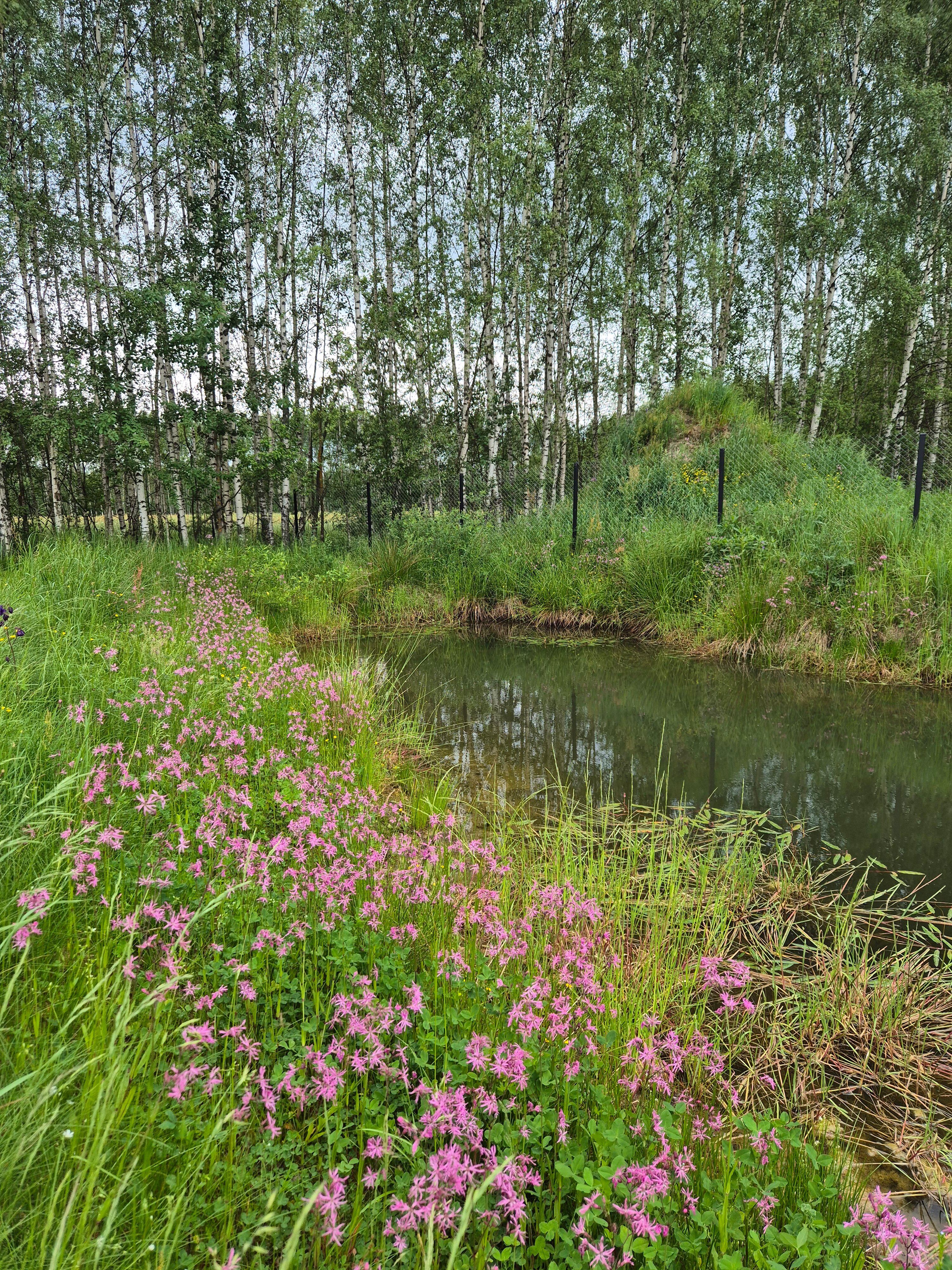 Фото The Поле