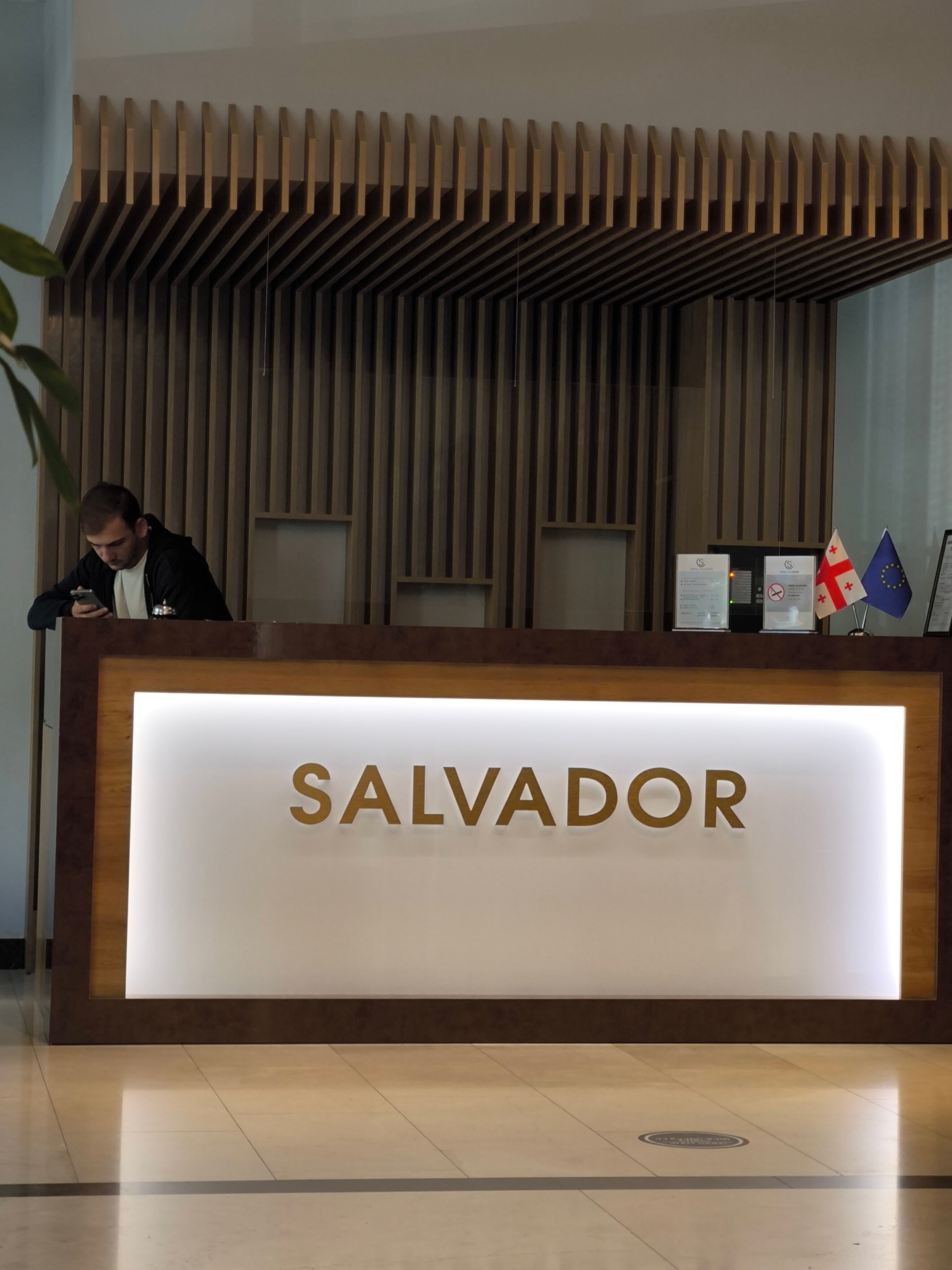 Фото Hotel Salvador