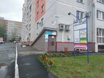 Кабинет репетитора по истории и обществознанию (Severo-Zapadnaya Street, 29Ак3), tutoring