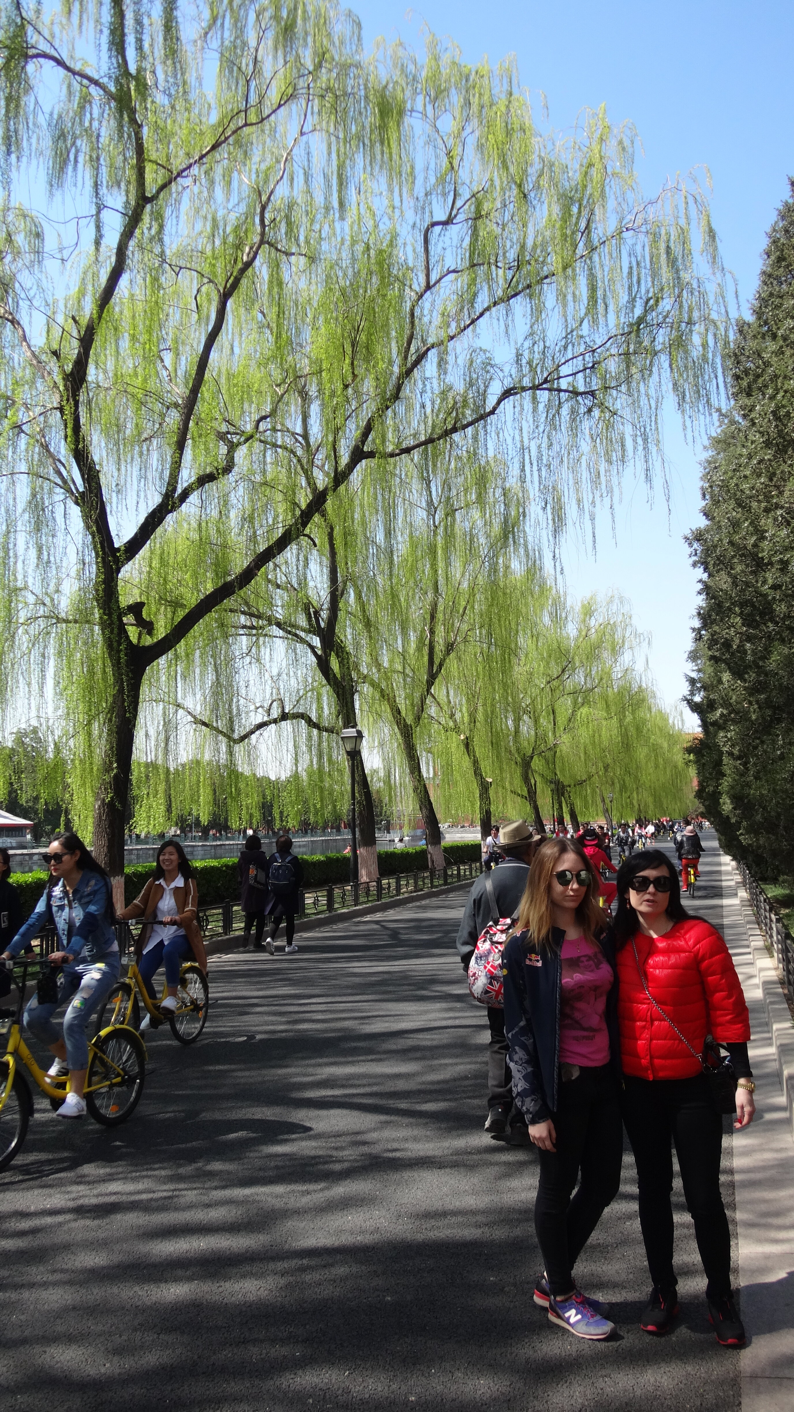 Фото Hotel Kapok Beijing - Forbidden City