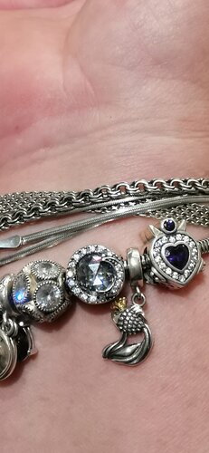 Mika Silver Fotoğraf 4