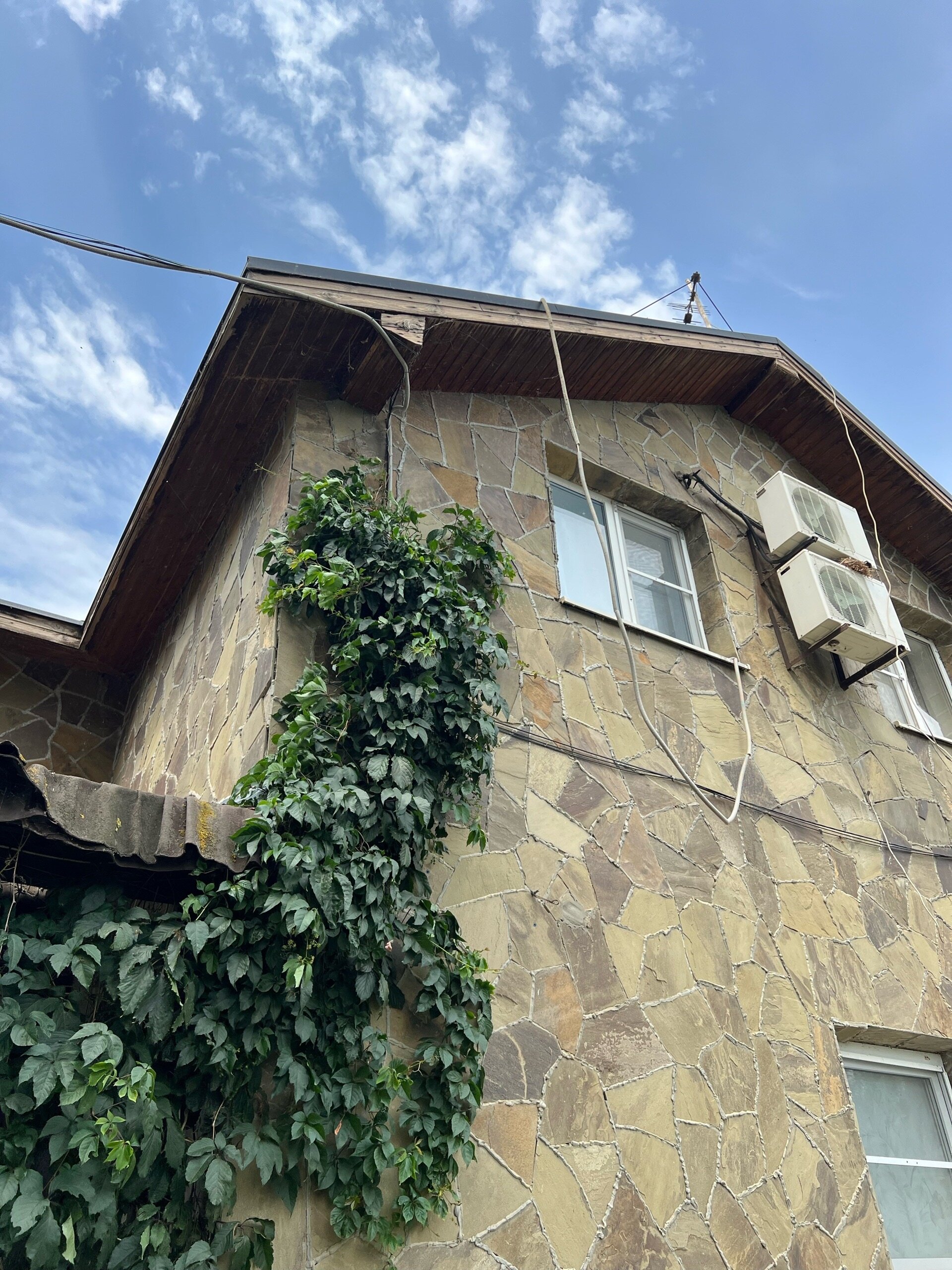 Фото Зеленга