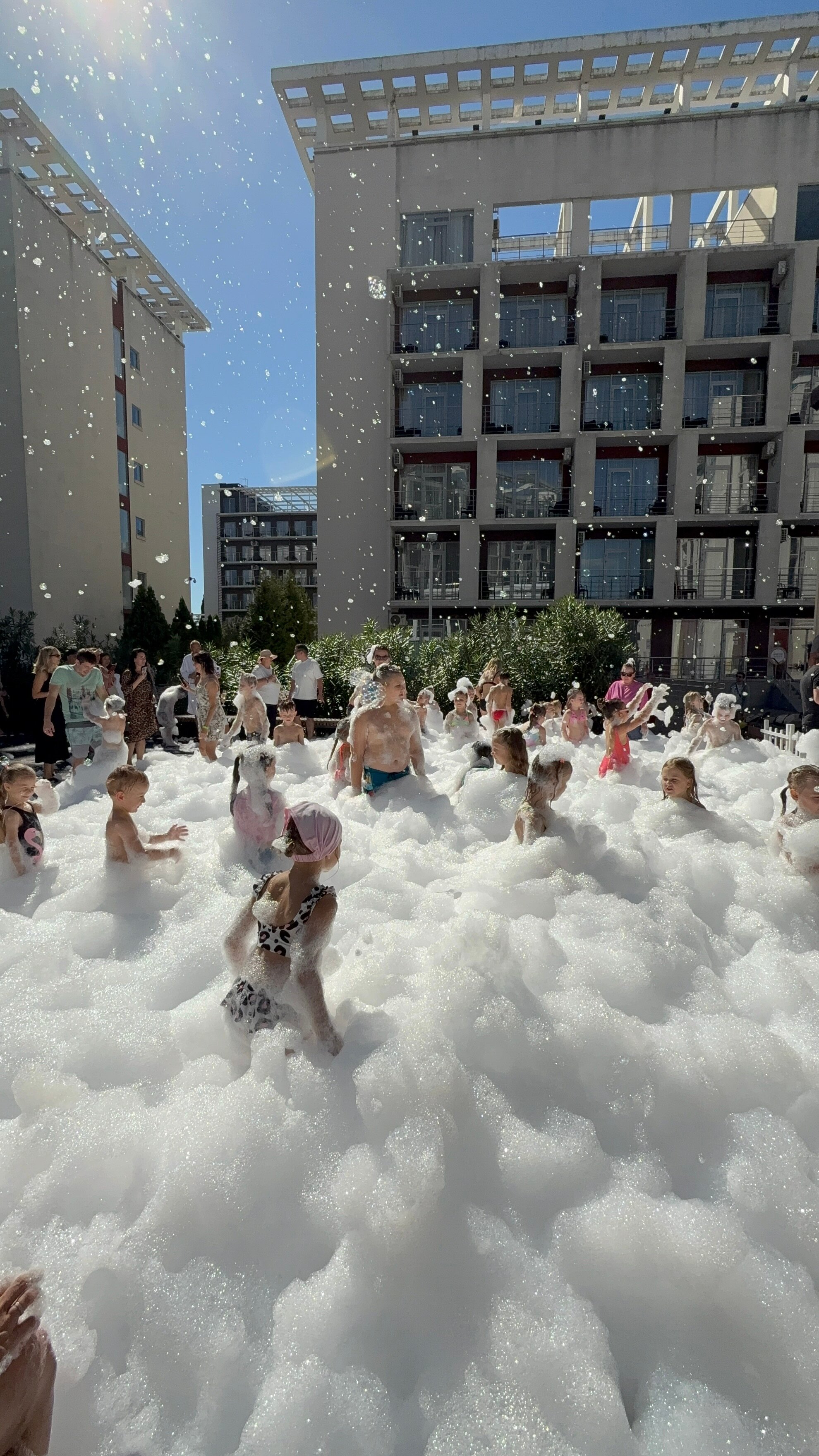 Фото Bridge Family