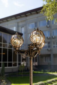 Гостиница Белый лотос