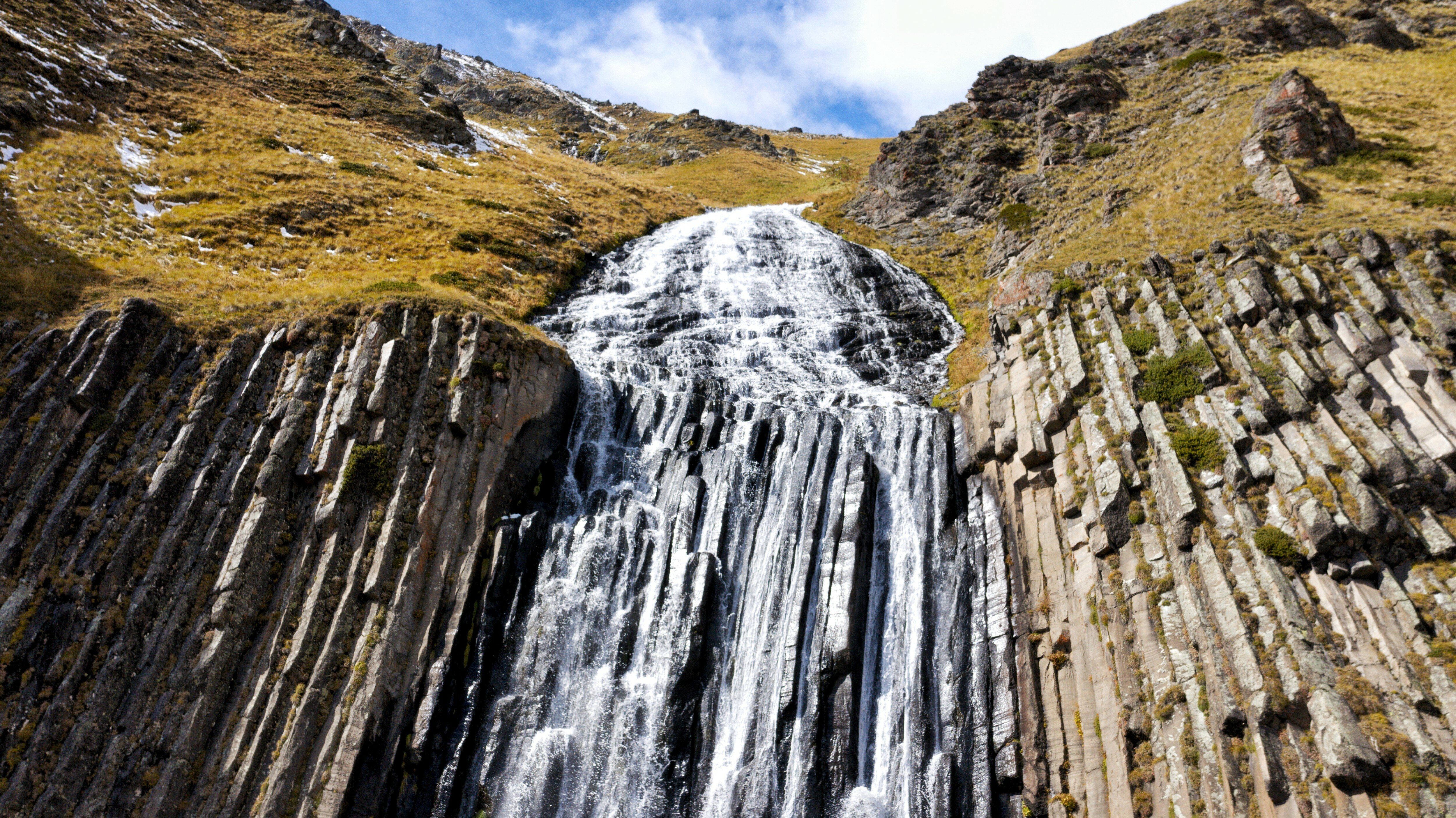 Фото Крокус