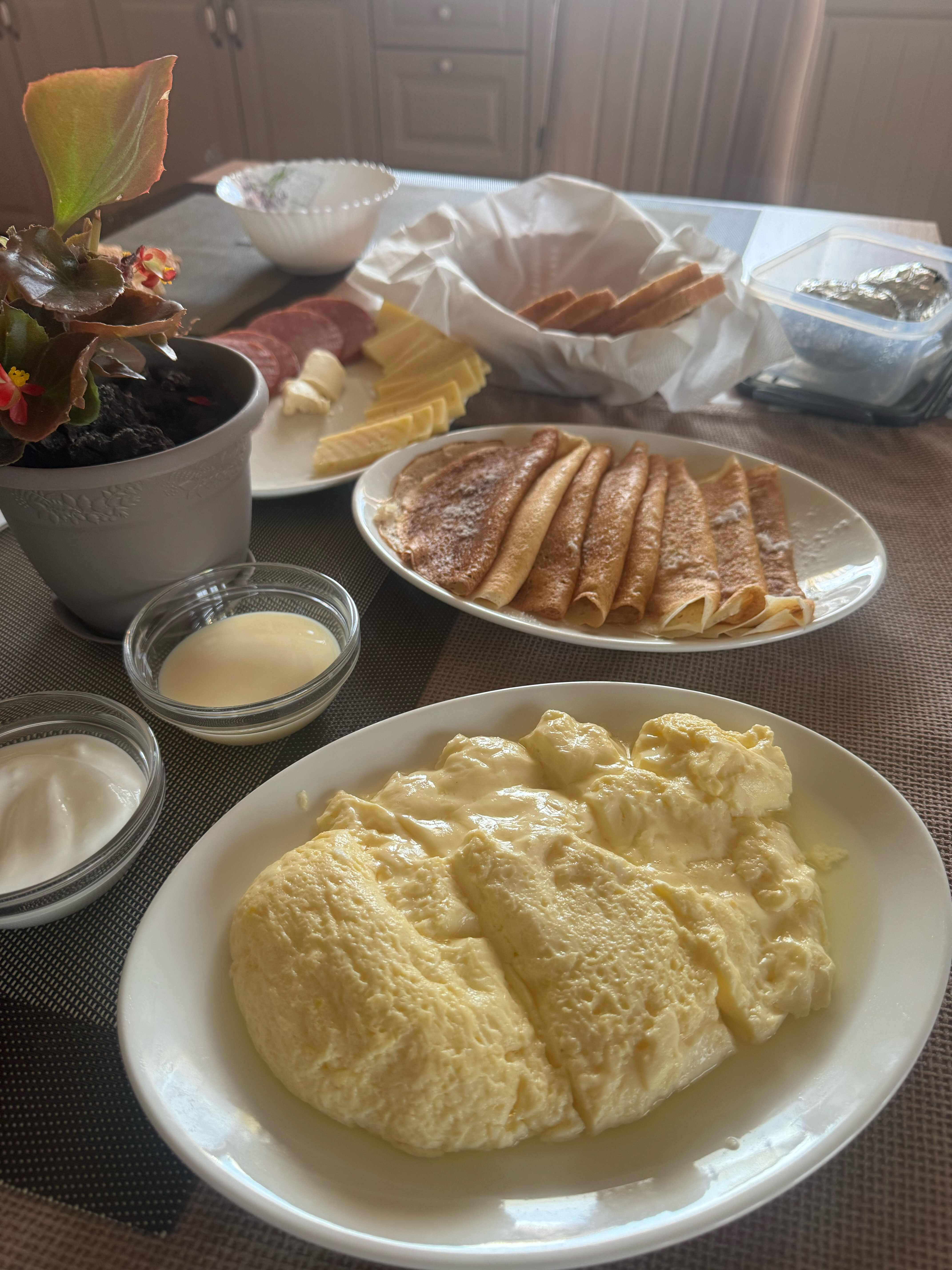 Фото Заповедный лес