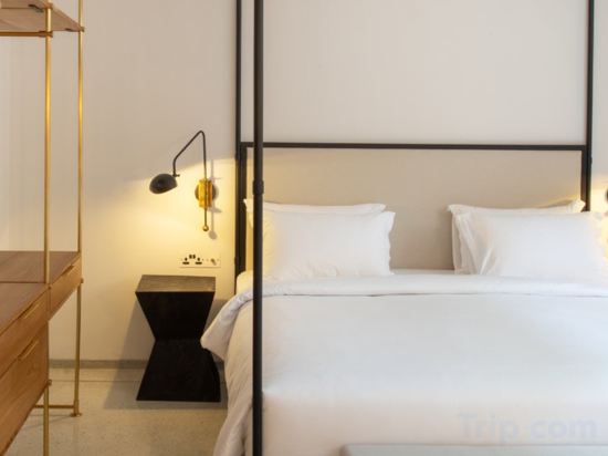 Фото The Charleston