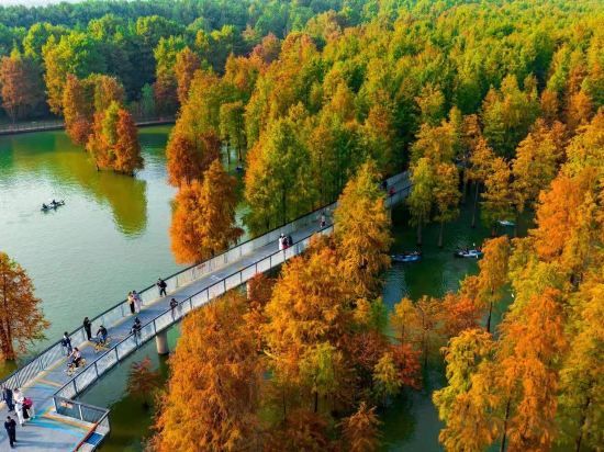 Фото Vienna Classic Hotel Hangzhou Linan