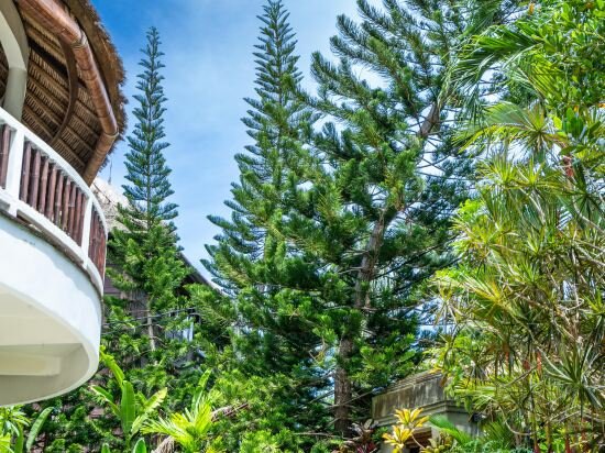 Фото The Village of Angels