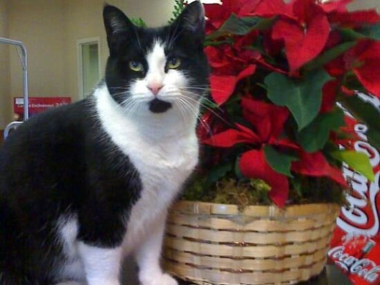 Фото Days Inn by Wyndham Vancouver Airport