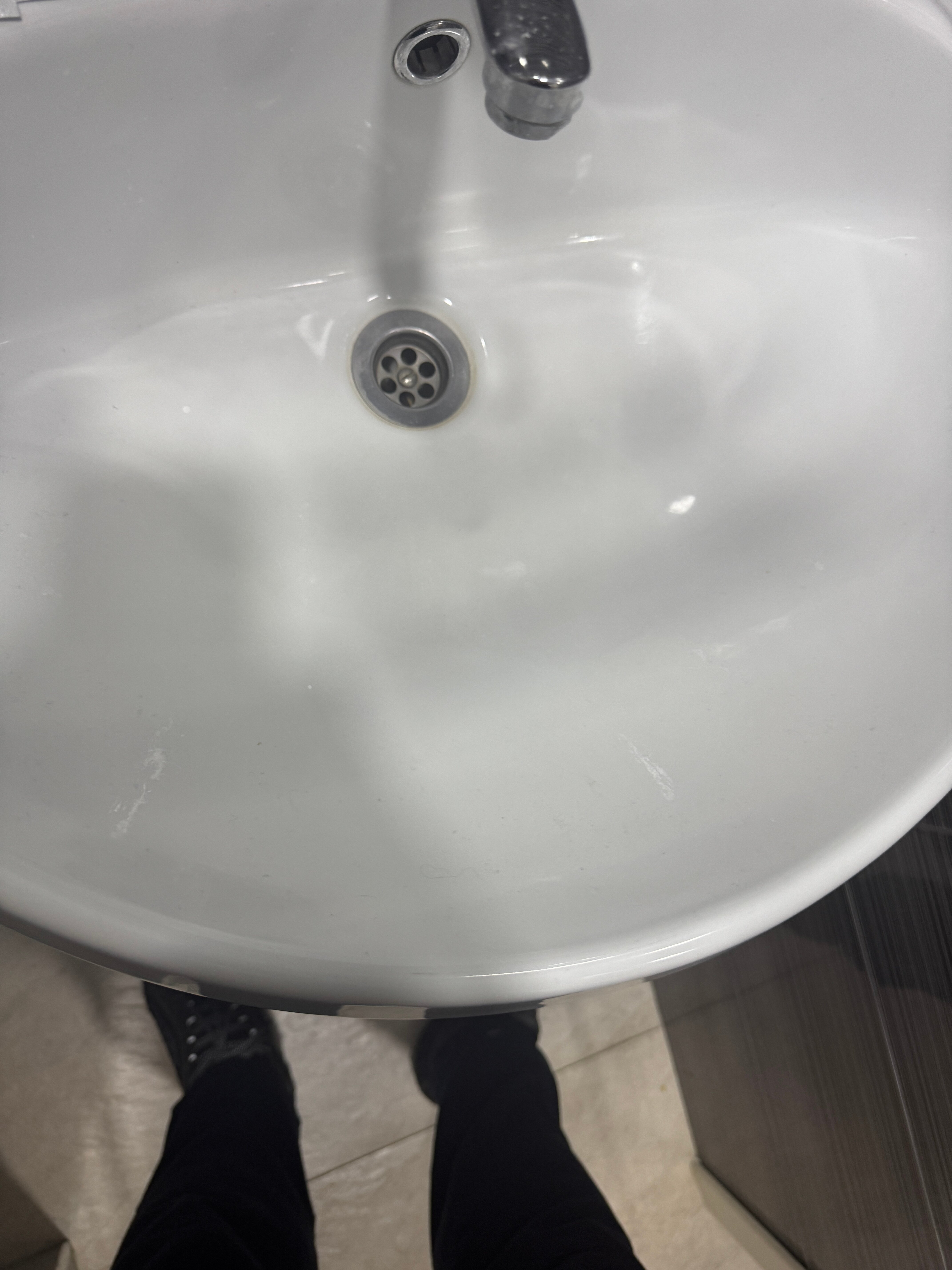 Фото Сова Беседы