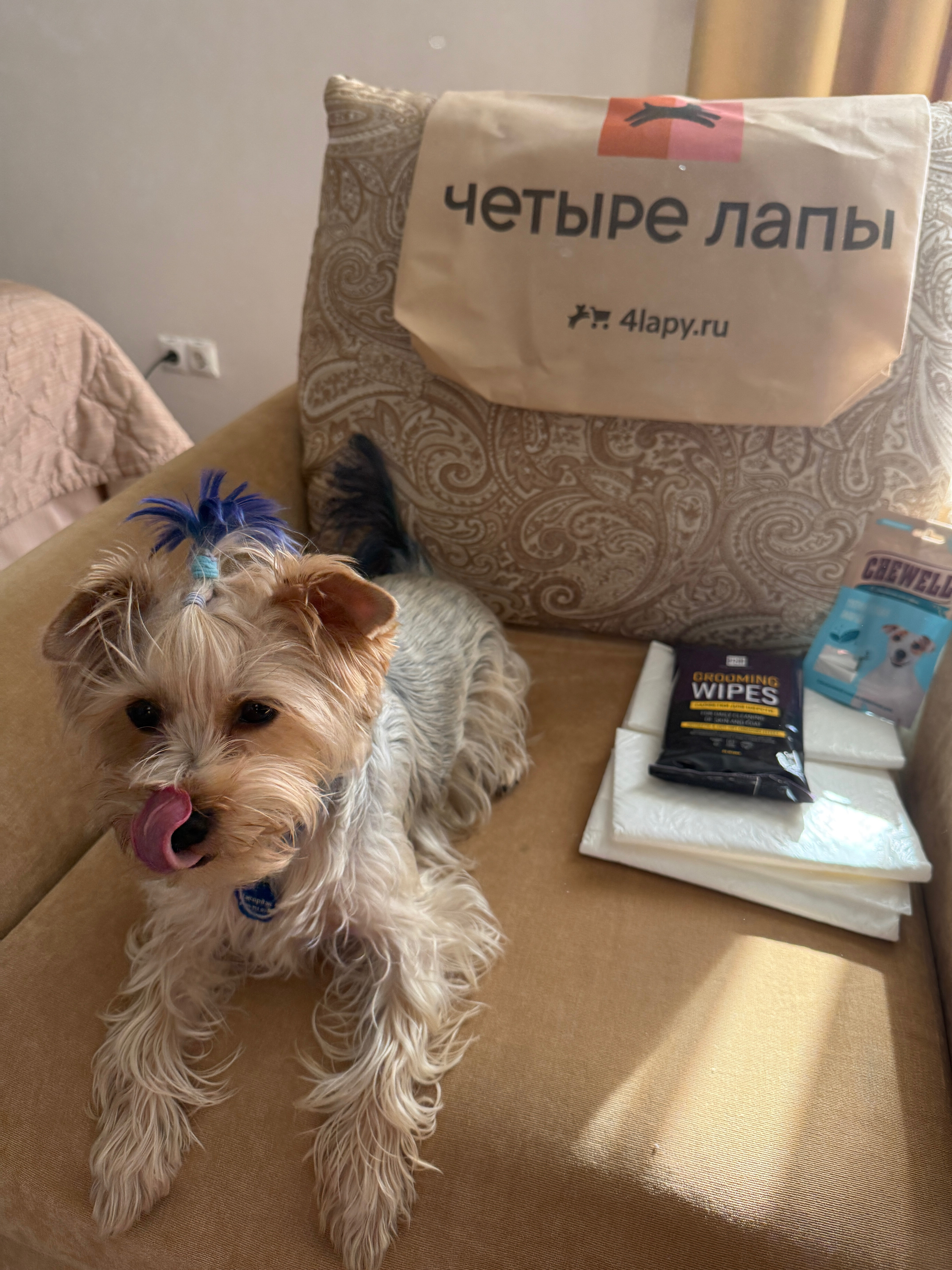 Фото Вальсет Апартаменты Спорт Роза Хутор