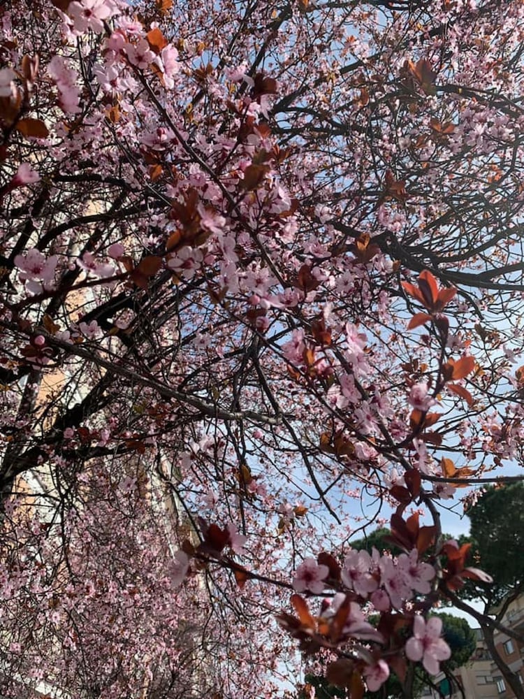 Фото Casa Tua Vaticano Guest House