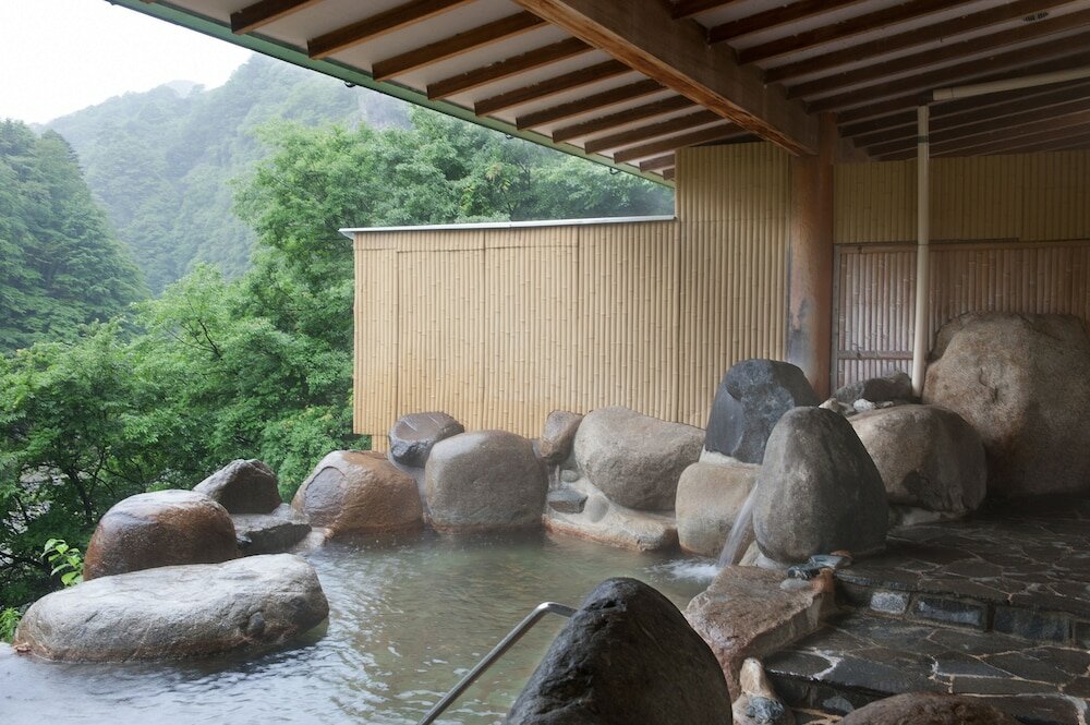 Фото Hotel New Ohruri