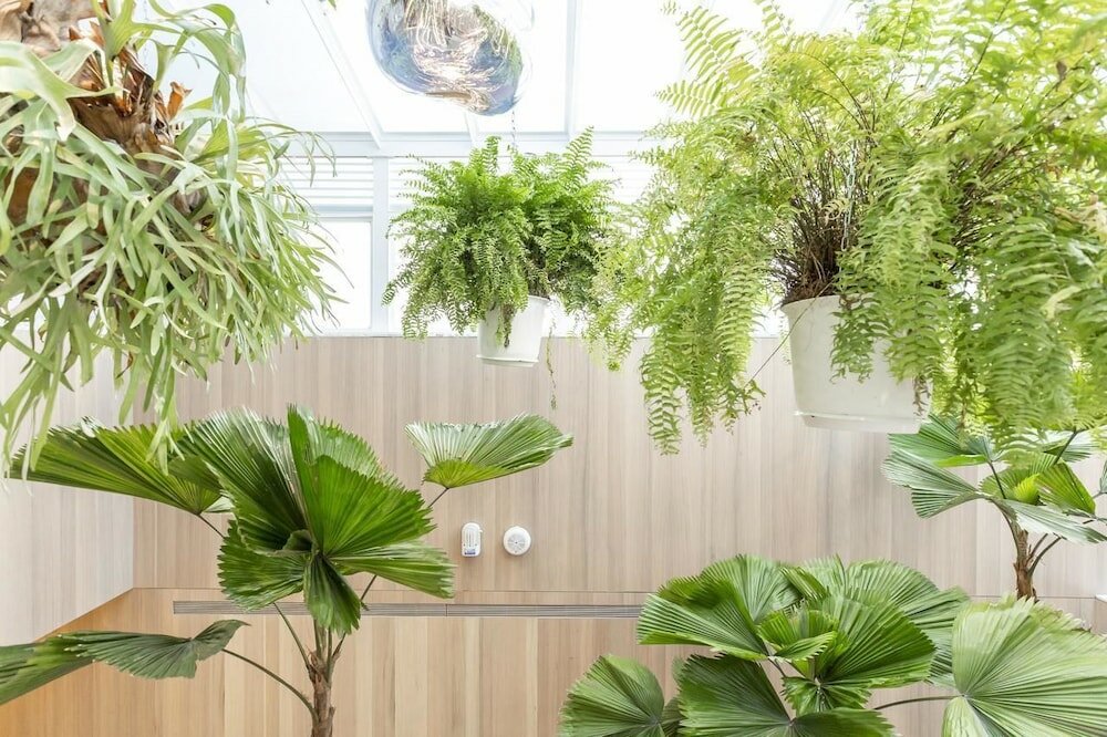 Фото Inhouse Hotel Grand