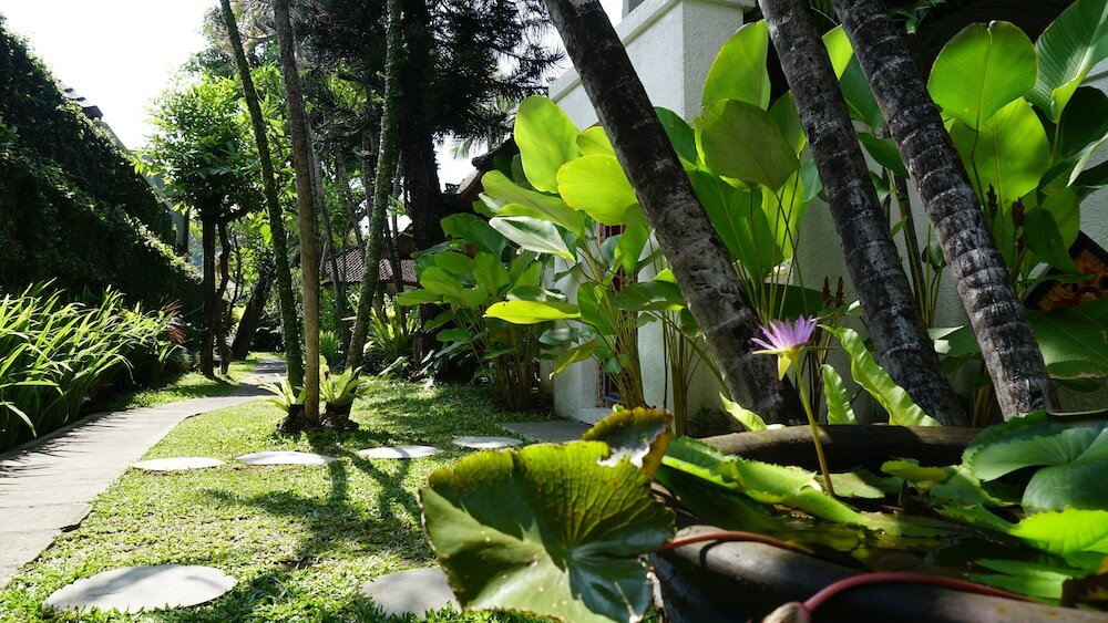 Фото Sanur House