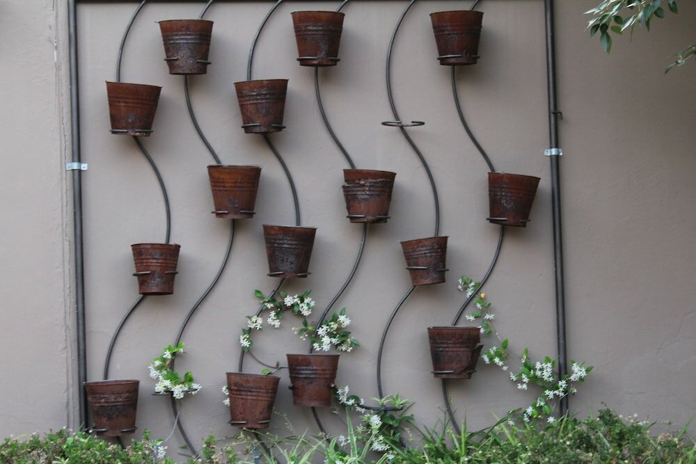 Фото Cottonwood Guesthouse