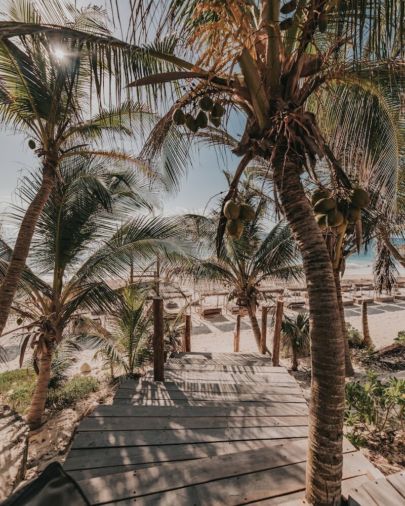 Фото Papaya Playa Project