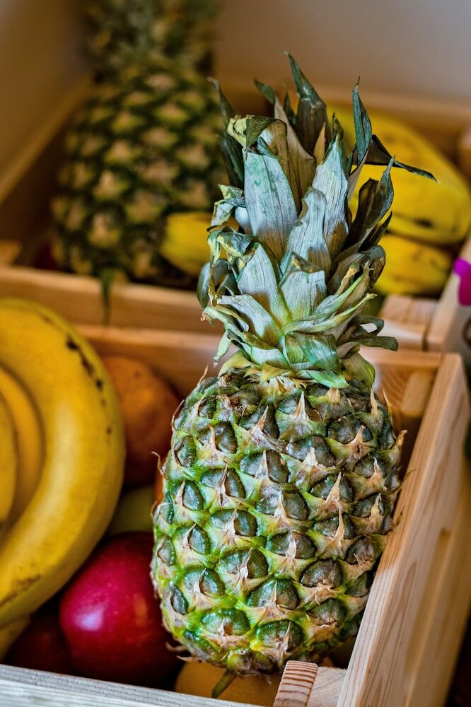 Фото Leto Nuevo Hotel