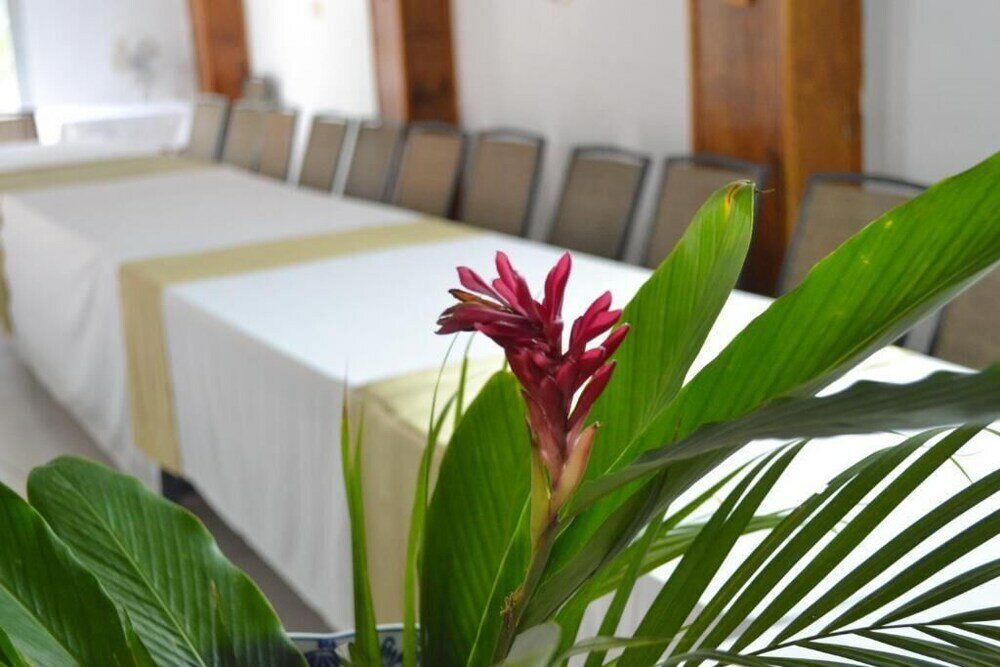 Фото Pacot Breeze