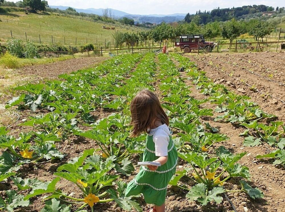 Фото Fattoria di Maiano