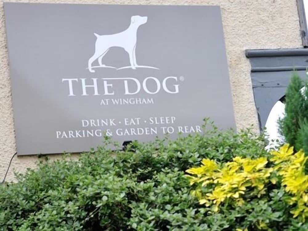 Фото The Dog at Wingham