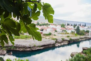 Гостевой дом  City Star