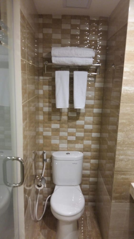 Фото The Safin Hotel Pati