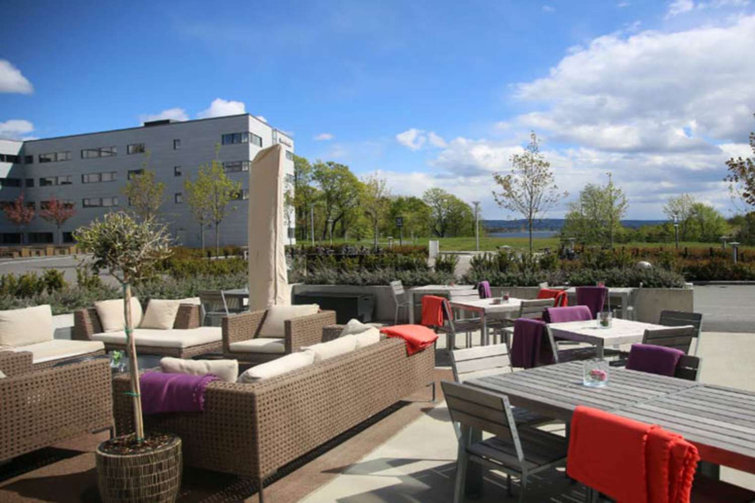 Фото отеля 5