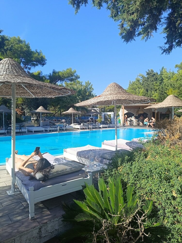 Фото Отель Trees Art Boutique