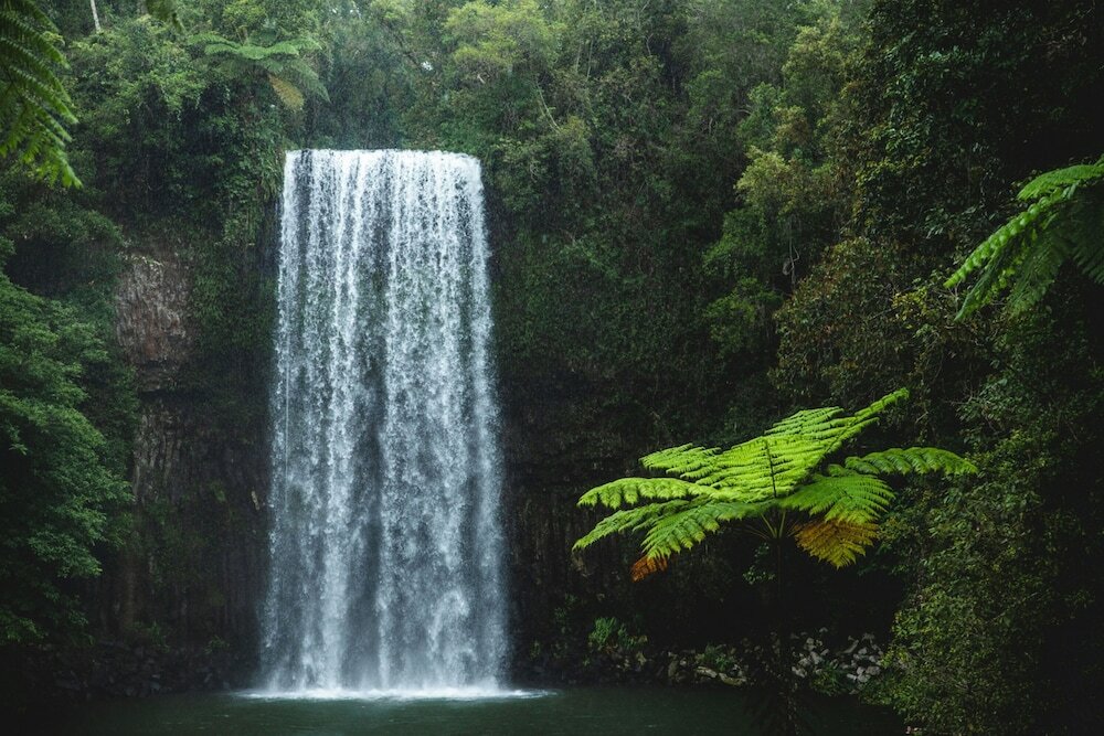 Фото Coral Tree Inn