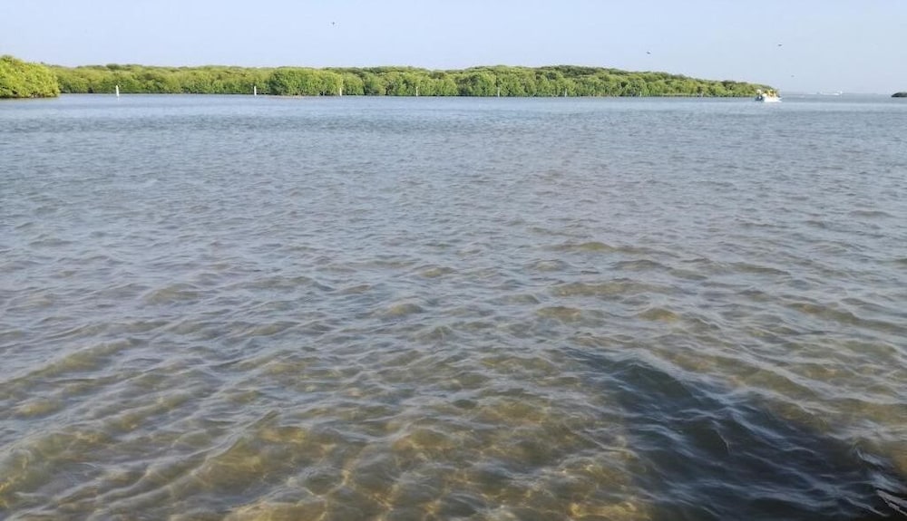 Фото Leighton Resort