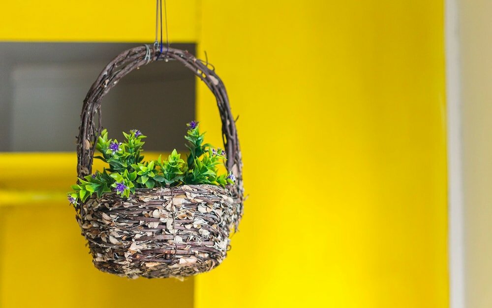 Фото Blue Pepper Hostel & Bar