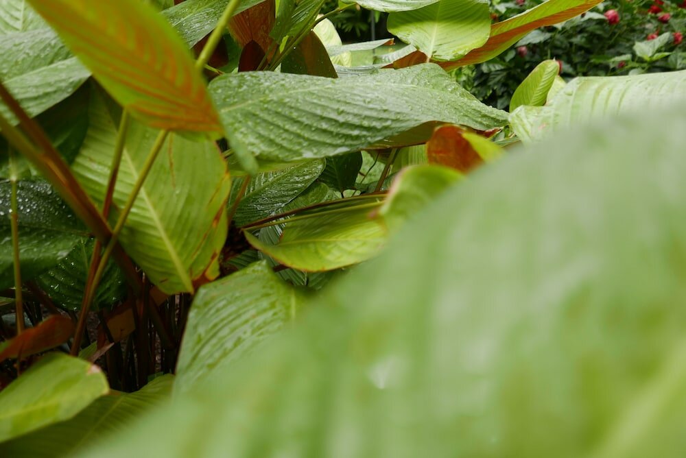 Фото 5 Swiss Hotel