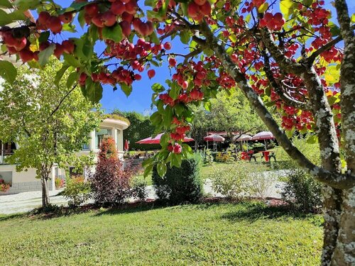 Внешний вид отеля Aiguille Du Midi в Шамони-Мон-Блане, фото 5