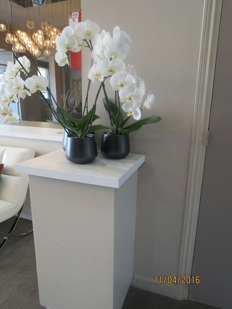 Фото Ligure Cannes