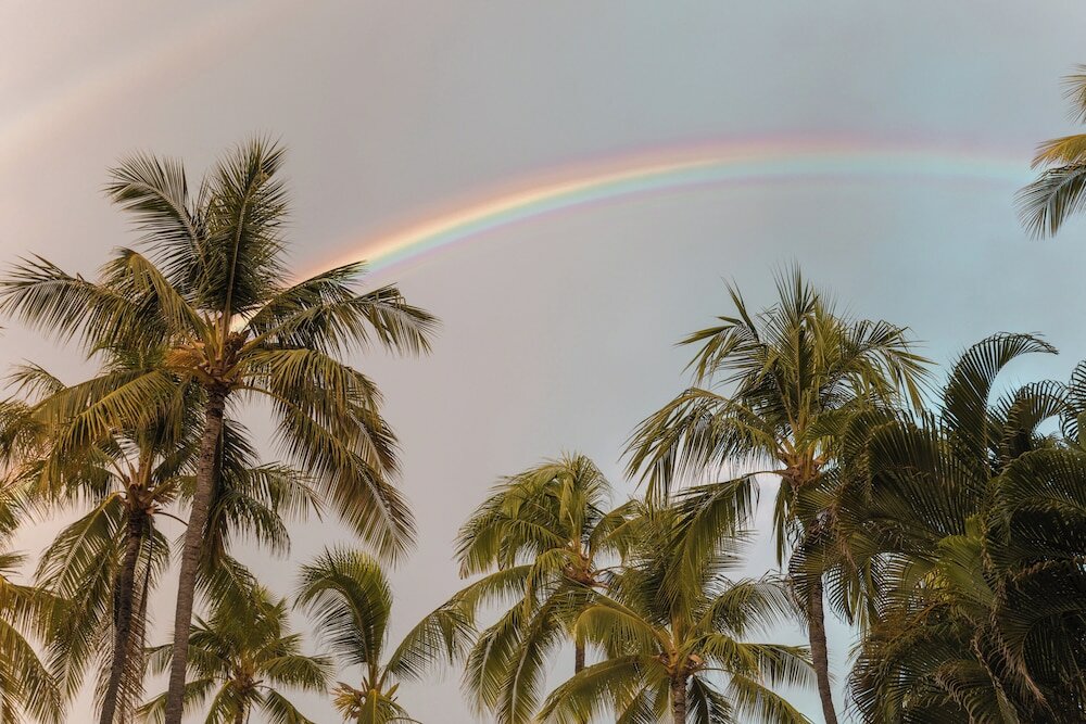 Фото Ohia Waikiki Studio Suites