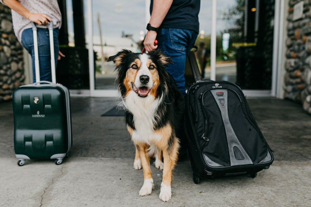 Фото The Old House Hotel & SPA