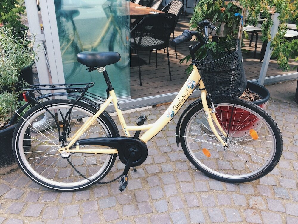 Фото Maverick Hostel & Ensuites