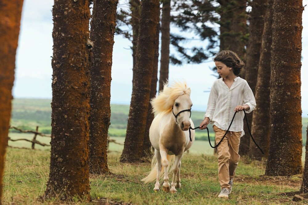 Фото Four Seasons Resort Lanai