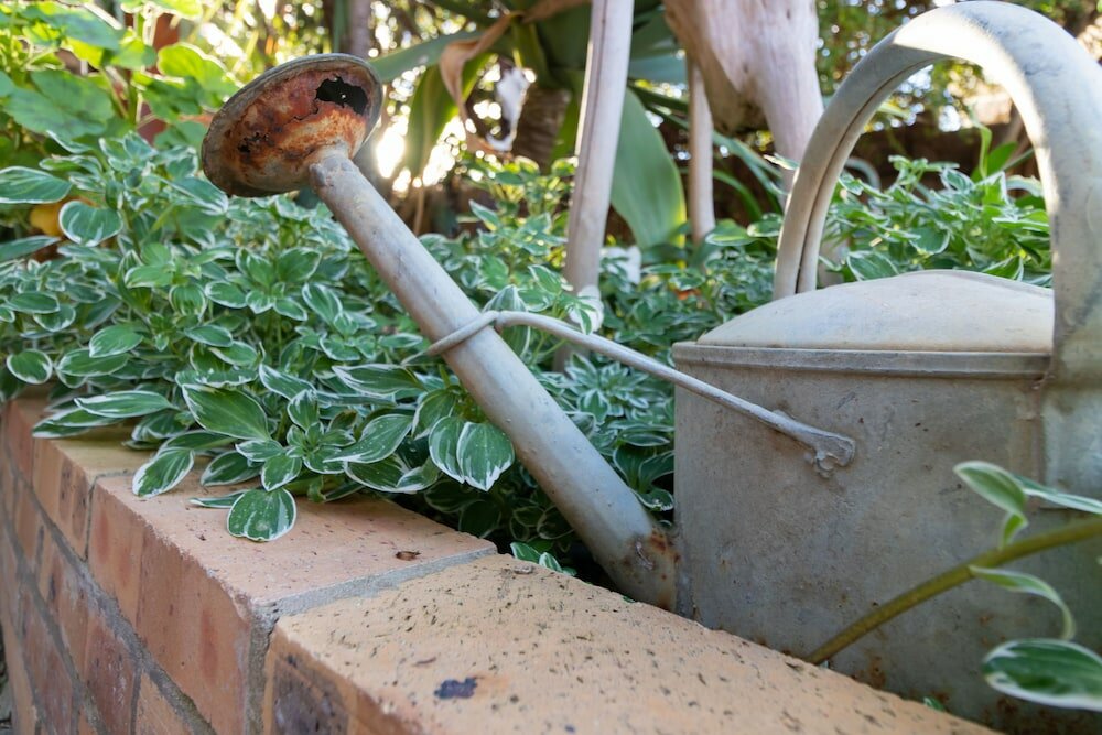 Фото Earthbound B&b